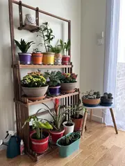 Fin 3 Tier Plant Shelf Hanging Bar Plant Stand Flower Rack For Garden Patio Balcony