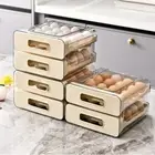Household Refrigerator Egg Storage Box Large Capacity Egg Storage Rack