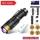 Portable UV Flashlight - 395nm LED Blacklight Torch for Stain & Urine Detection