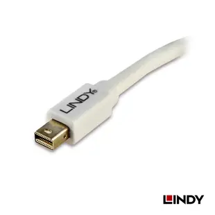 LINDY 轉接器 MINI DISPLAYPORT 公 TO DISPLAYPORT 母 轉接器 20公分 41021