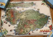 Vintage Maui Laminated Map By Kim Forrest 1992