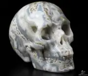 Geode 1.8" Crazy Lace Agate Carved Crystal Skull, Realistic, Crystal Healing