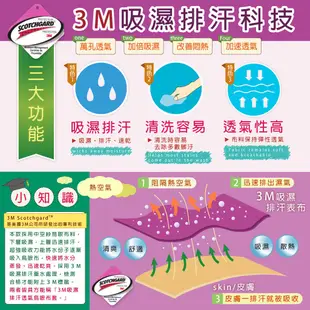 【班尼斯】乳膠床墊高純度95%高密度85最頂級【10cm厚雙面護膜】單人床墊/雙天床墊推薦天然乳膠馬來西亞嚴選