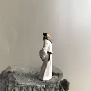 Miniature Ancient Li Bai Micro Landscape Rare Stone Bonsai Chinese Dry Garden 3D
