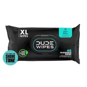 Flushable Wet Wipes Dispenser, Mint Chill, 48Count - Scented Wet Wipes with Vita
