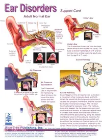 在飛比找三民網路書店優惠-Ear Disorders