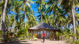 椰子花園海灘度假村Coconut Garden Beach Resort