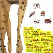 AU 4-96 Rolls sticky fly trap ribbon tape insect trap strip mosquito insect