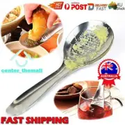 Silver Stainless Steel Lemon Ginger Grater Garlic Grinding Spoon Tool AU