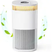 Air Purifier Large Room Pet Mode Filter