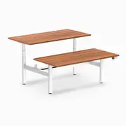 Desky Back to Back Prime Oak Melamine Sit to Stand Desk 1500x750mm White Round Height Adjustable Leg