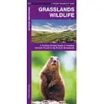 GRASSLANDS WILDLIFE: A FOLDING POCKET GUIDE TO FAMILIAR SPECIES FOUND IN PRAIRIE GRASSLANDS