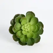 Artificial Succulent Atlantis Pick [ASPLSUCCU15B_ATL]