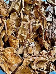 50grams Indian Almond Leaves Leaf (10~12 Pieces) BettaLeaf | Fish Tank for Betta Fish Shrimp Crayfish, for Fish Healthy and Comfort