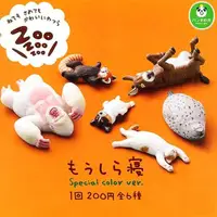 在飛比找樂天市場購物網優惠-大賀屋 日貨 轉蛋 休眠動物園 扭蛋 特殊色 猩猩 海豹 Z