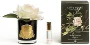 Cote Noire Perfumed Natural Touch Rose - Pink Blush, Black Vase GMRB02