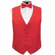 Hearts Tuxedo Vest and Bowtie