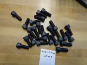 (25) Metric M12-1.75 x 30 Socket Head Cap Screws 12mm x 30mm Plain Black 1139654