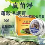 真菌淨 20G 烏龜 水龜 澤龜 陸龜 龜甲龜殼修復 龜殼保養 保護膏 角質化處理 龜室