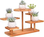 Display Rack Ladder Solid,Table Top Plant Stand Indoor Small 5 Tier wood Tabletop,Multipurpose Counter Top Display Shelf for Livingroom,For Desk, Desktop, Outdoor Patio Garden Decoration