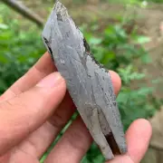 104.8g Altay Iron Meteorite Space Meteorite Slice