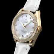 omega Seamaster Aqua Terra 150M 38.5mm watch unisex TO06652