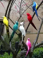 創意仿真鳥羽毛小鳥彩色鸚鵡假鳥擺件花園櫥窗裝飾道具工藝品掛件