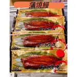 蒲燒鰻/鰻魚飯/浦燒鰻/日式鰻魚/烤鰻魚