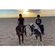 Save 5.00%! 2 Hours of Private Horse Riding Activity in Hurghada