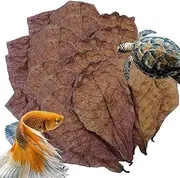 Betta Shrimp Leaves – Natural Almond Leaves for Betta Fish | PH Balance Water Conditioner for Aquarium | Turtle Tank, Fish Tank, Shrimps, Catfish, Frog Habitat Accessories for Healthy Aquatic