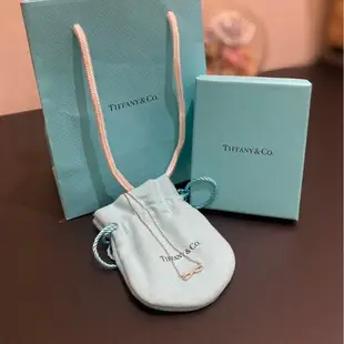 [二手] Tiffany&Co. Infinity 經典永恆無限純銀項鍊