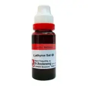 Dr. Reckeweg Germany Homeopathy Lathyrus Sativus Mother Tincture Q (20ml)