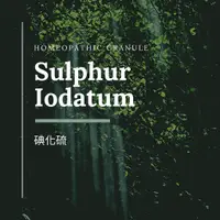 在飛比找蝦皮購物優惠-順勢糖球【碘化硫●Sulphur Iodatum】Homeo