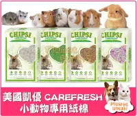 在飛比找Yahoo!奇摩拍賣優惠-美國 Carefresh《 小動物天然紙棉》倉鼠 黃金鼠 刺