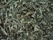 Dried Herbs: Tulsi Organic (Ocimum tenuiflorum) Holy Basil 25g