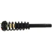 Monroe Front Strut & Spring For Acura TSX 2004 2005 2006 2007 2008