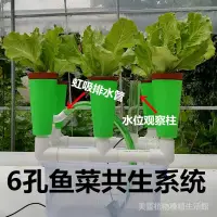 在飛比找蝦皮商城精選優惠-【店長推薦】 六孔魚菜共生設備 無土栽培過濾系統 陽台種菜箱