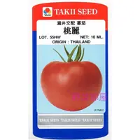 在飛比找蝦皮購物優惠-【野菜部屋~】L26日本桃麗蕃茄種子1000粒原包裝 , 夏