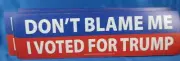 WHOLESALE LOT 15 DON'T BLAME ME I VOTED FOR TRUMP MAGNETS 2024