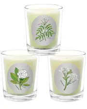 Qualitas Candles 3pc Candle Set - Gardenia, Tuberose, & Jasmine
