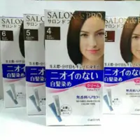 在飛比找蝦皮購物優惠-日本 DARIYA 塔莉雅 沙龍SALON 級無香調白髮染劑