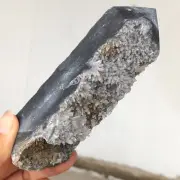 237g Natural Chrysanthemum Stone Quartz Crystal Cluster Obelisk Mineral A449