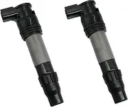 2PCS 21171-0033 Ignition Coil Compatible For Kawasaki Z650 Z650RS NINJA 300 VERSYS-X 300 KLE300 VULCAN S EN650 VERSYS 650 KLE650 NINJA 650
