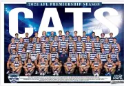 2023 Geelong cats TEAM POSTER,AFL FOOTBALL , 2022 premiers 1