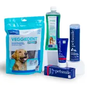 Dog Dental Health Starter Kit