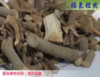 在飛比找Yahoo!奇摩拍賣優惠-[福氣程然] 野生牛奶蒲 羊奶頭 台灣天仙果 山拔仔 牛奶蒲