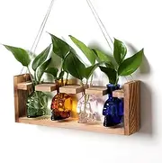 Plant Propagation Stations Halloween Skull Plant Terrarium Kit Glass Vases Gift for Father Air Planter