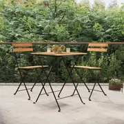 vidaXL Folding Bistro Chairs 2 pcs Solid Wood Teak and Steel