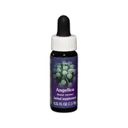 Fes Flower Essences FES Quintessentials Angelica 7.5ml