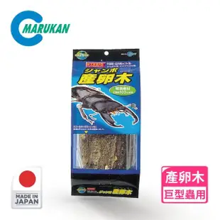 【Marukan】巨型蟲用天然產卵木(日本製 甲蟲 鍬型蟲 昆蟲 小動物 洞穴 木頭 擺飾)